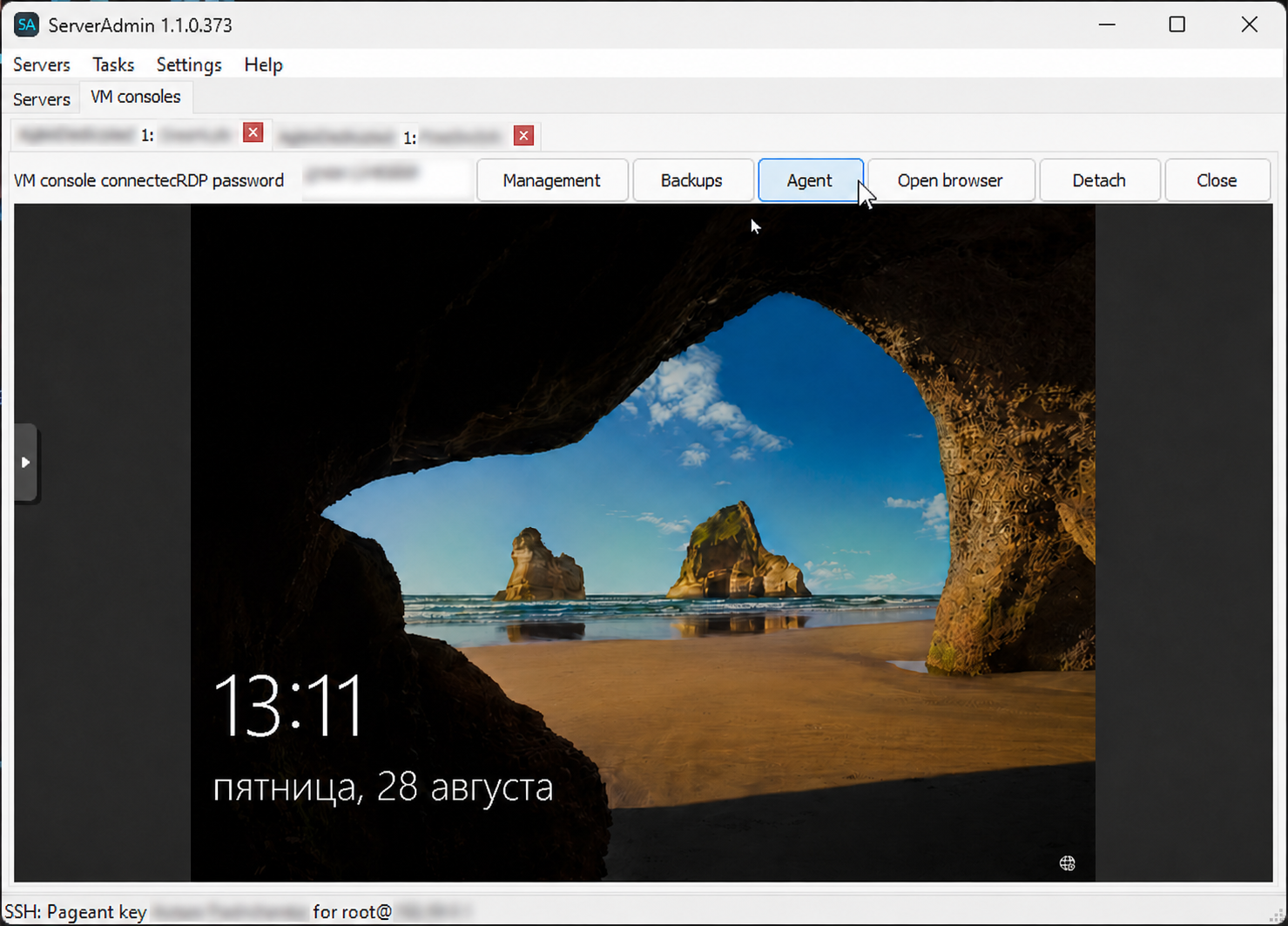 ServerAdmin embedded VM console
